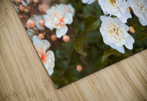Troll Rose NOLA504 puzzle