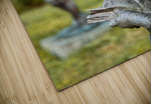 Adam & Eve NOLA504 puzzle