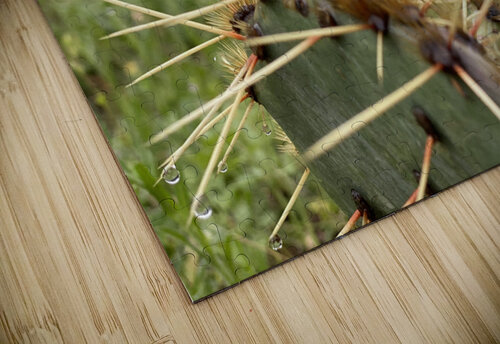 Pins & Needles NOLA504 puzzle