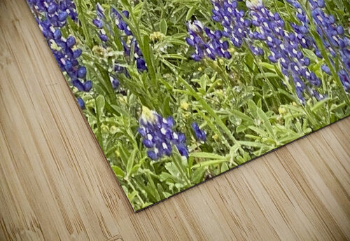 Blubonnet Fields Forever NOLA504 puzzle