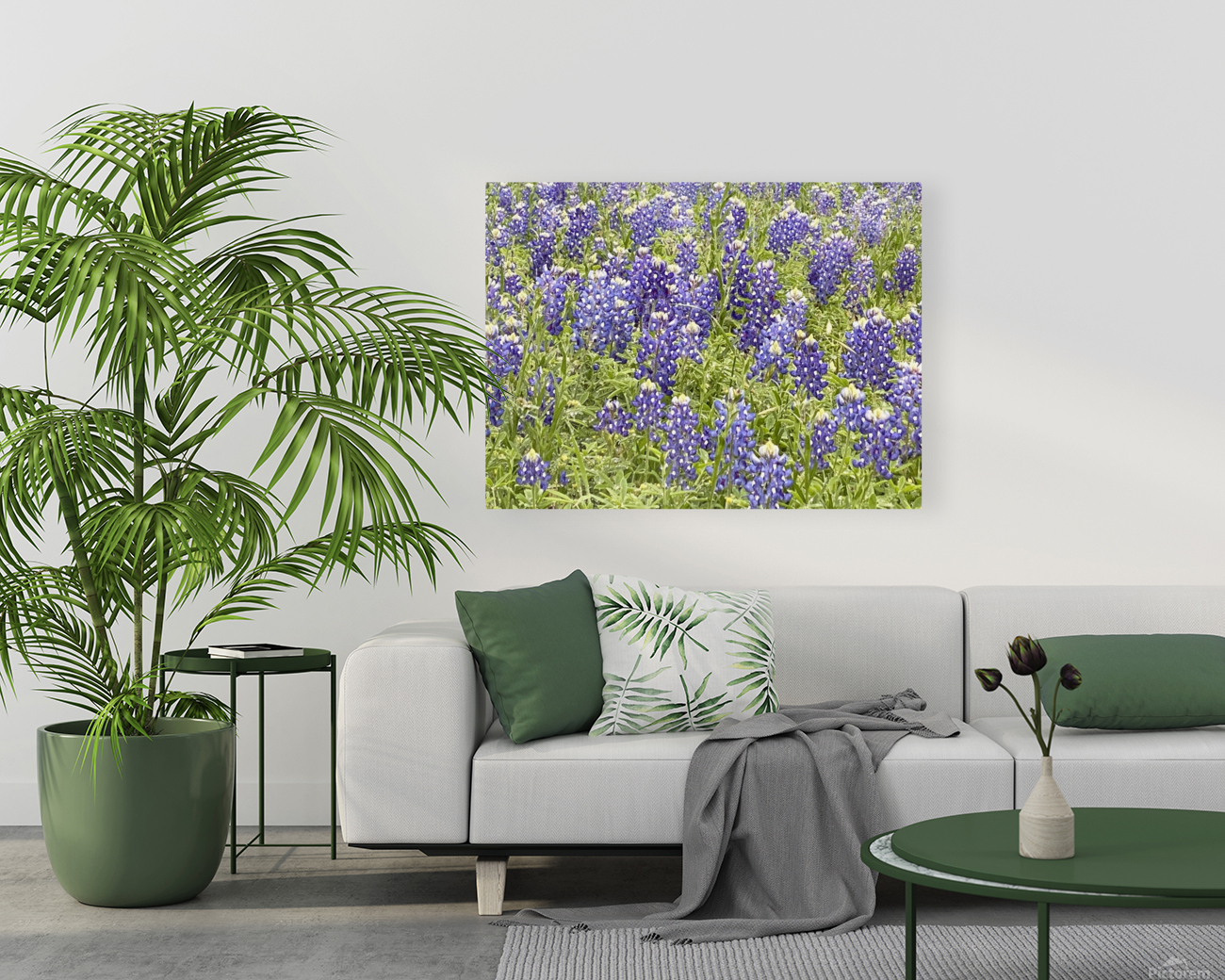 Blubonnet Fields Forever Reproduction