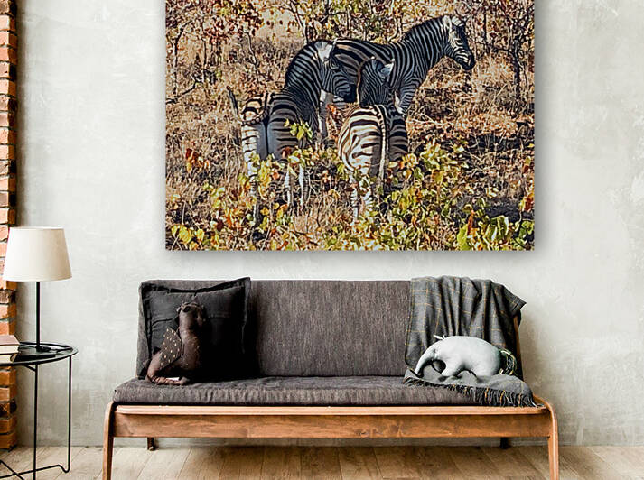 Kruger Stripes by NOLA504
