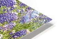 Blubonnet Fields Forever HD Metal print