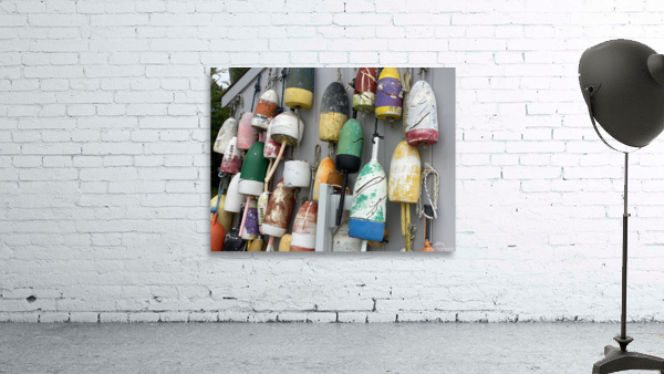 Rock Lobster Wall Preview