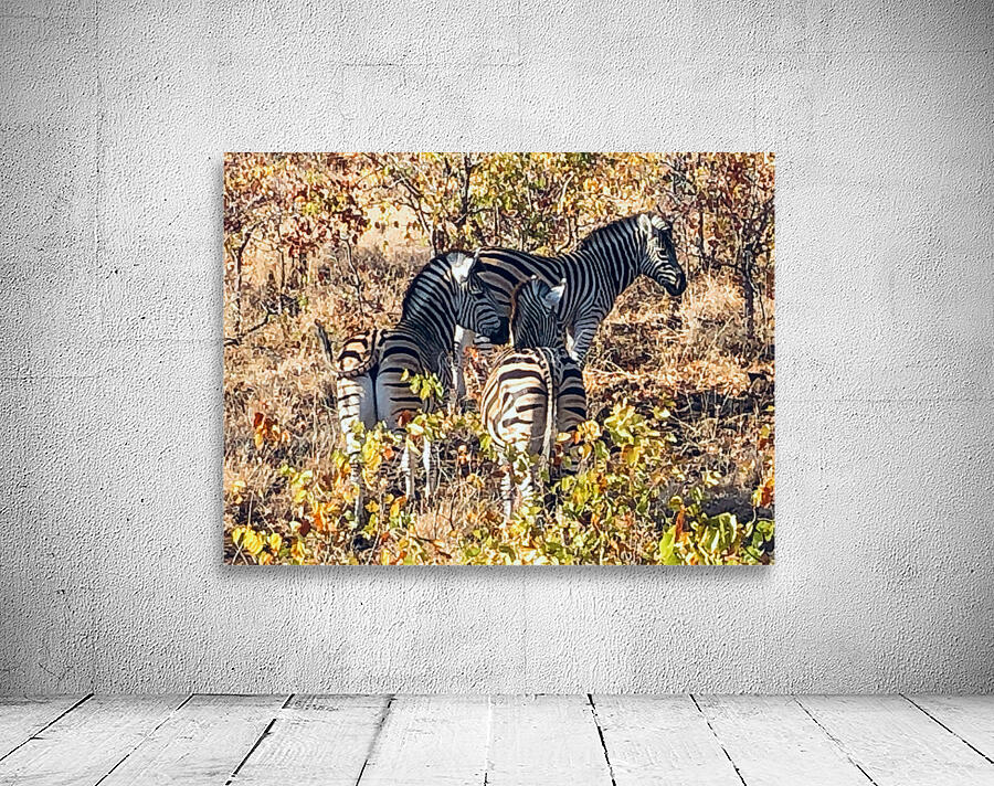 Kruger Stripes Wall Preview