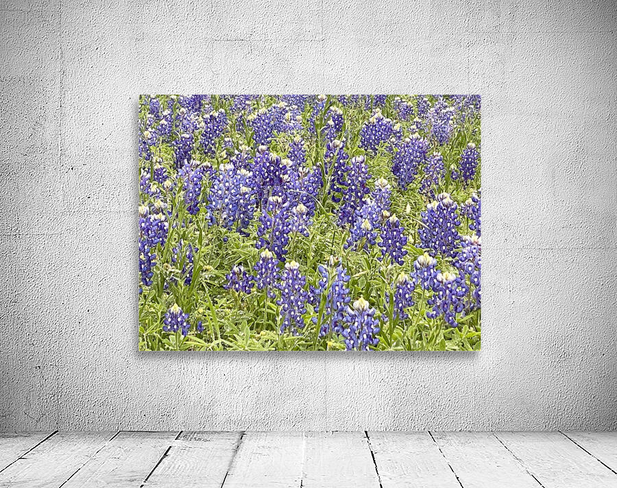 Blubonnet Fields Forever Wall Preview