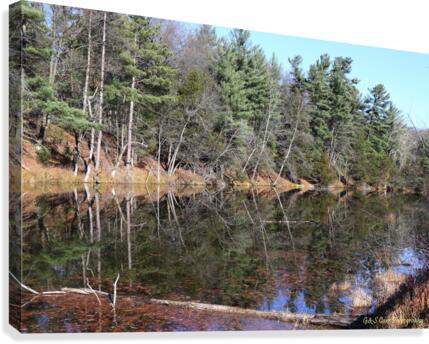 Reflections on the Ausable River  Canvas Print