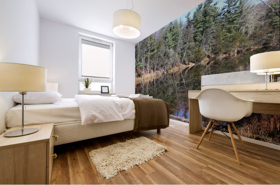 Reflections on the Ausable River  Mural print