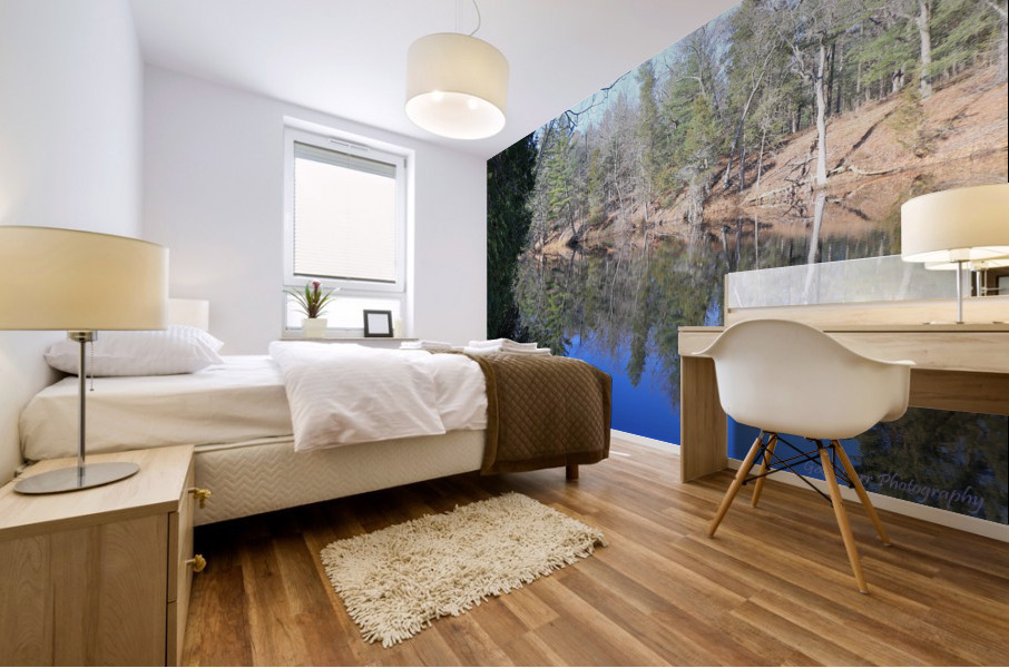 Reflections on the River Mural print