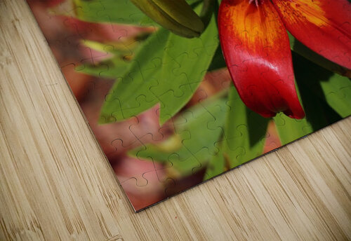 TigerLily G&S Carr Photography puzzle