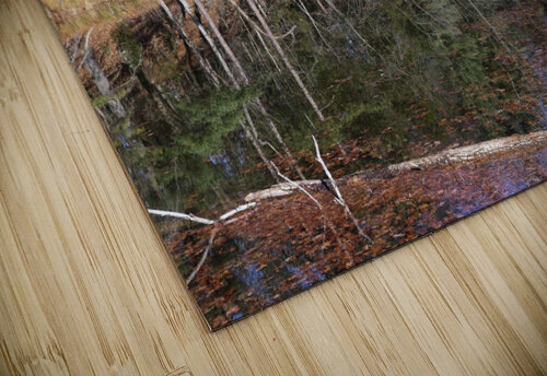 Reflections on the Ausable River  G&S Carr Photography puzzle