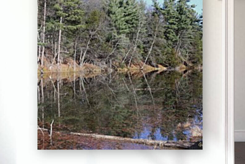 Reflections on the Ausable River  by G&S Carr Photography