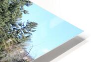 Reflections on the Ausable River  HD Metal print