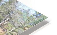 Reflections on the River HD Metal print
