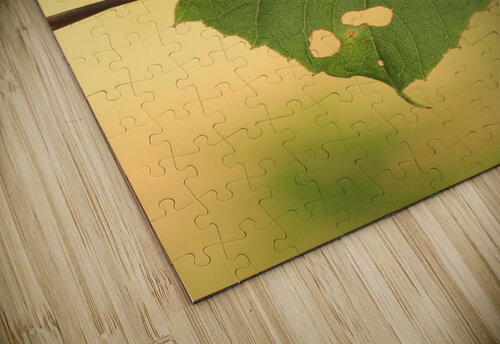 Rustic heart Bev Lancaster puzzle