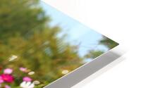 wild flowers HD Metal print