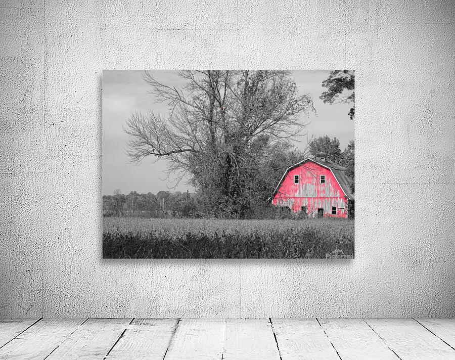 The old red barn Wall Preview