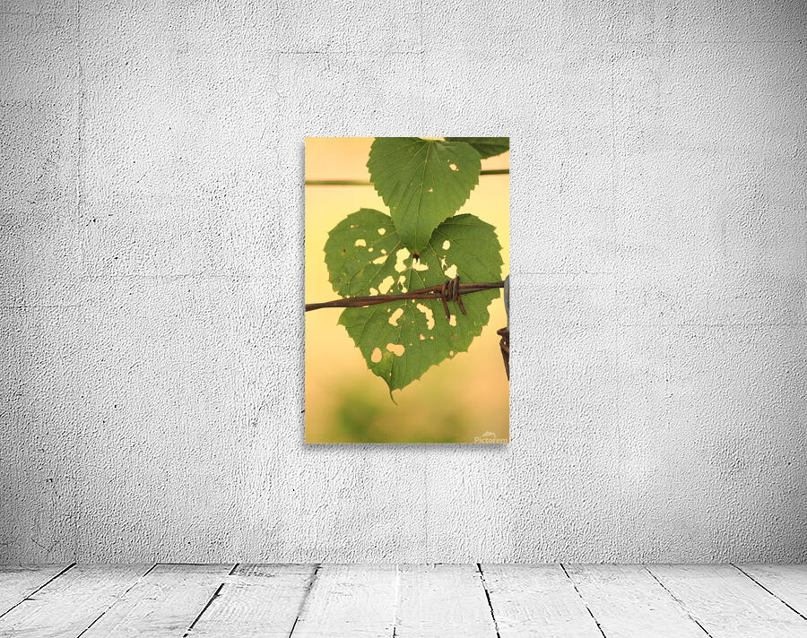 Rustic heart Wall Preview
