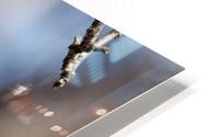 Jaseur Boreal HD Metal print