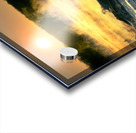 Le debut de la vie Acrylic print