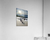 Enfin libre Acrylic Print