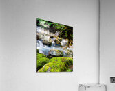 Le murmure de leau Acrylic Print