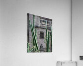 La Cathedrale Metropolitaine de Mexico Acrylic Print