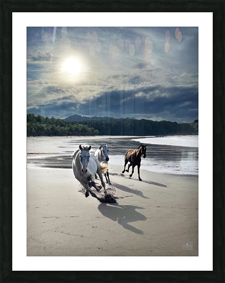 Enfin libre Picture Frame print