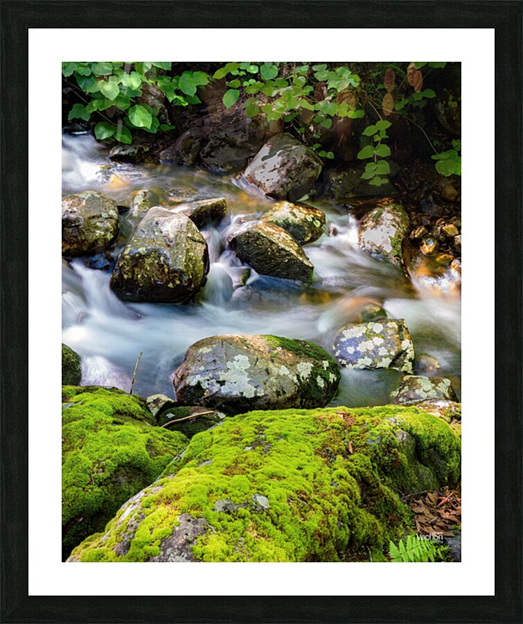 Le murmure de leau Picture Frame print