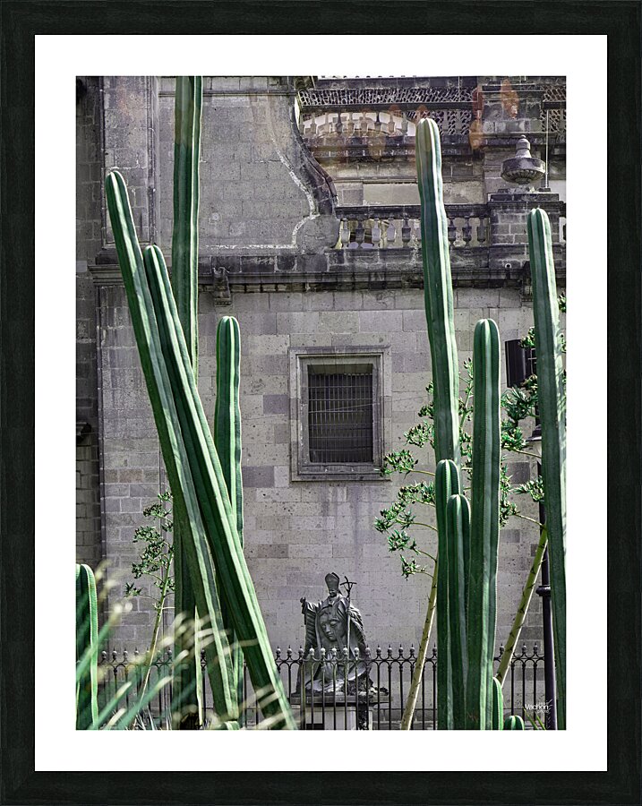 La Cathedrale Metropolitaine de Mexico Picture Frame print