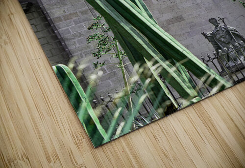 La Cathedrale Metropolitaine de Mexico Jean Vachon Photographe puzzle