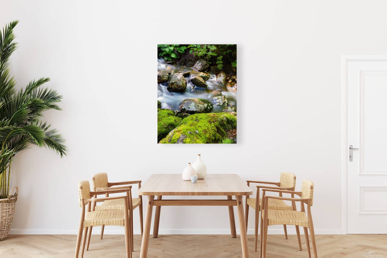 Le murmure de leau Reproduction