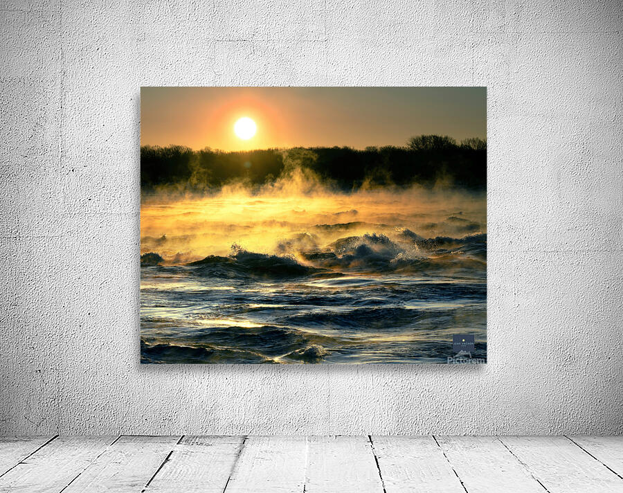 Le debut de la vie Wall Preview