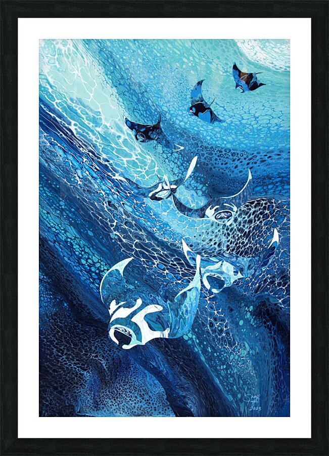 Manta Ray Picture Frame print