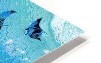 Manta Ray HD Metal print