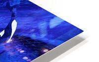 Orca Whales HD Metal print