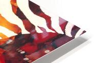 zebra HD Metal print