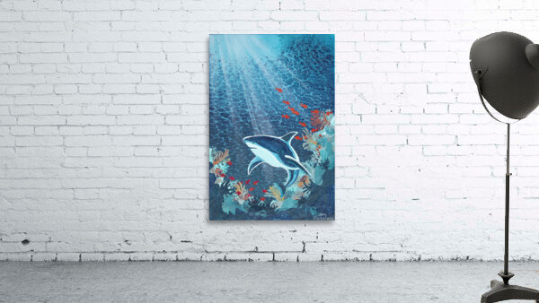 shark Wall Preview