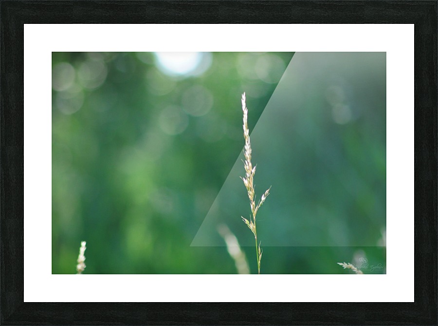 The Alone One Picture Frame print