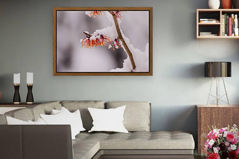 Snow-Life-WinterArt by Rohan Valvekar