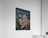 I see you Acrylic Print