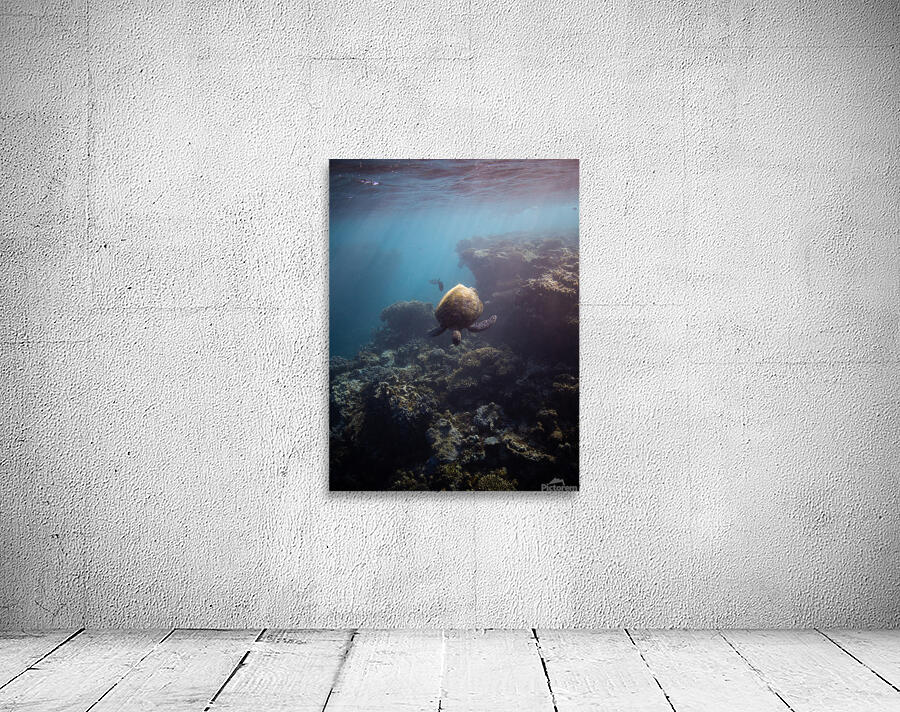 Little dude Wall Preview