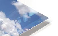 The Never Summers HD Metal print