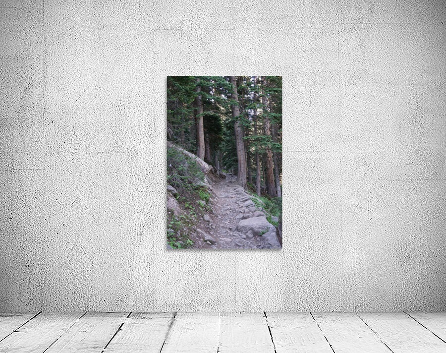 Forest Trail Wall Preview