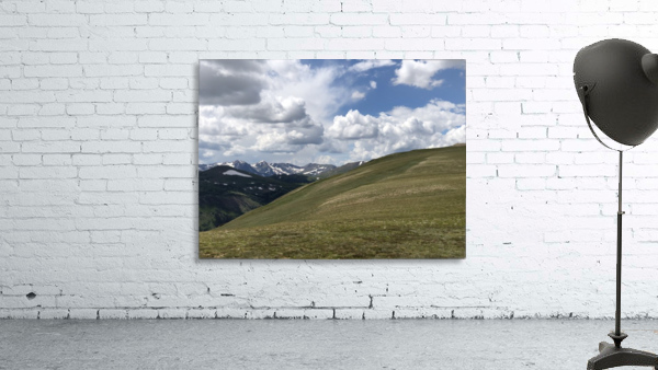The Never Summers Wall Preview