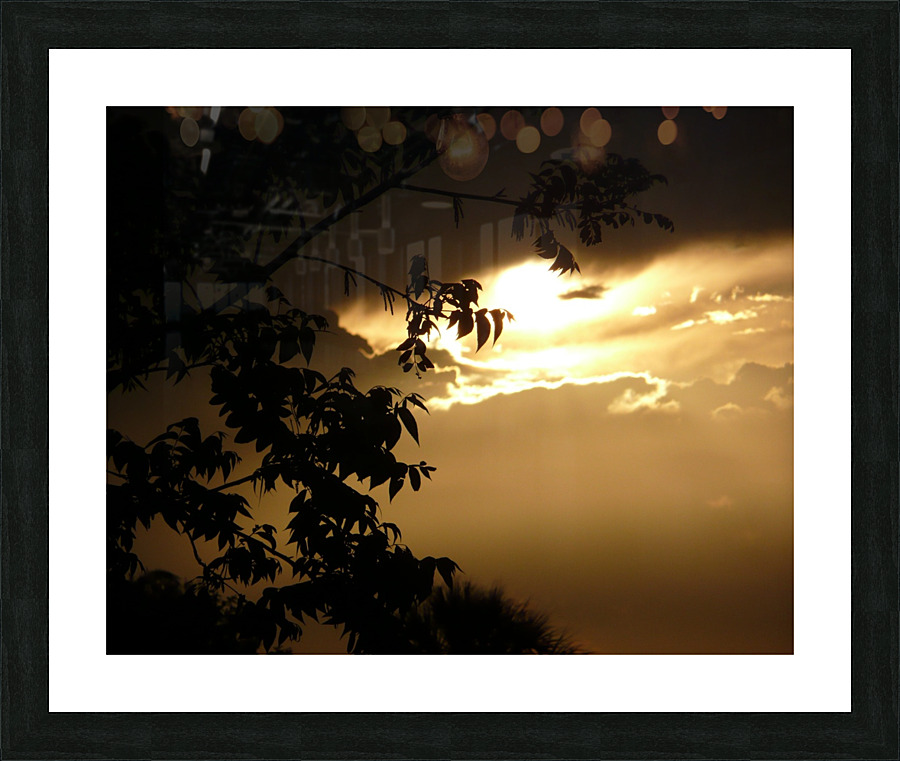 P1040558 01 Wisp Picture Frame print
