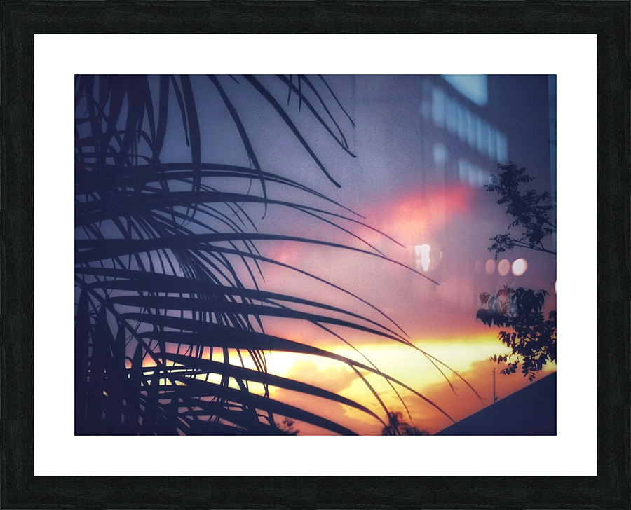 P1040563 01 Picture Frame print
