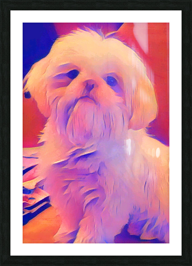  Precious20221007 111125 Picture Frame print