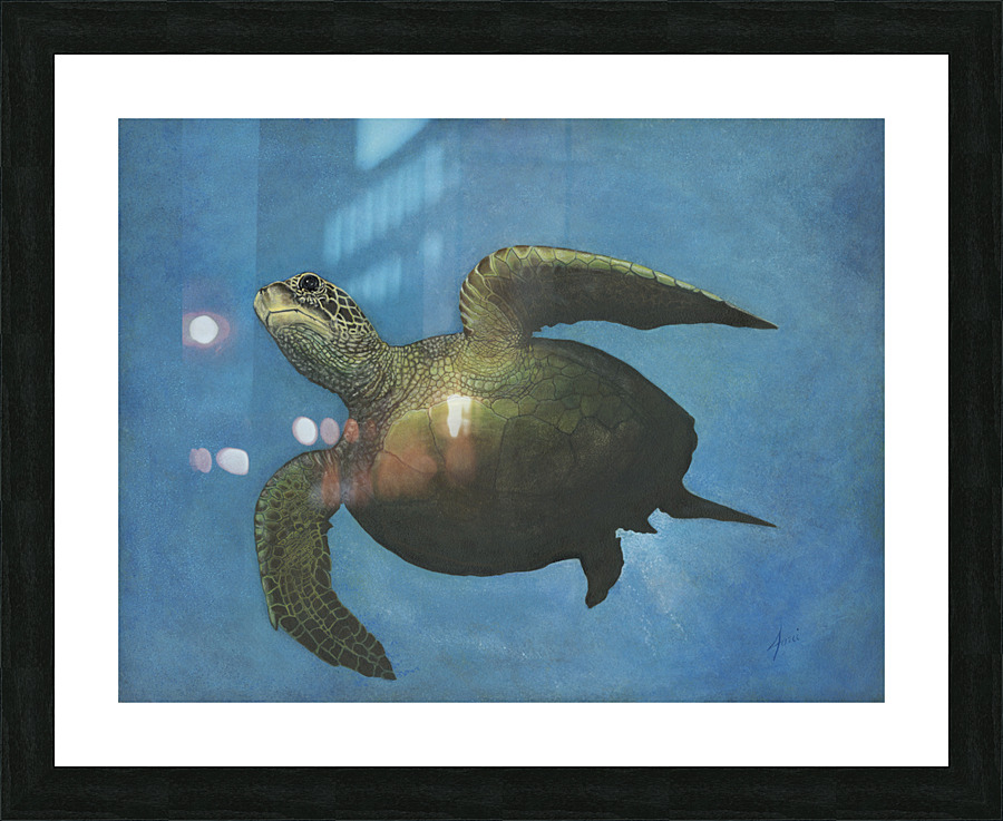 Charleys turtle full Picture Frame print