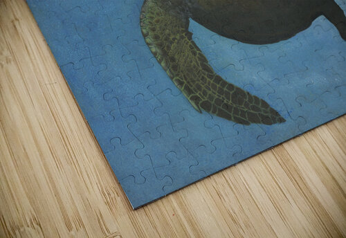 Charleys turtle full Joni German puzzle